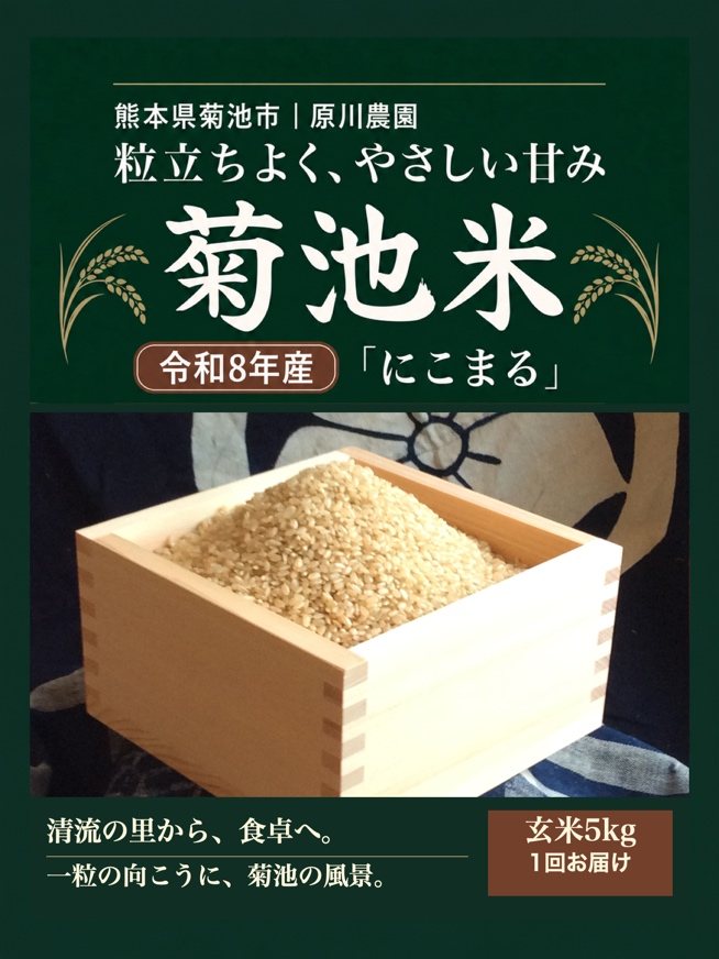菊池米(玄米)5kg