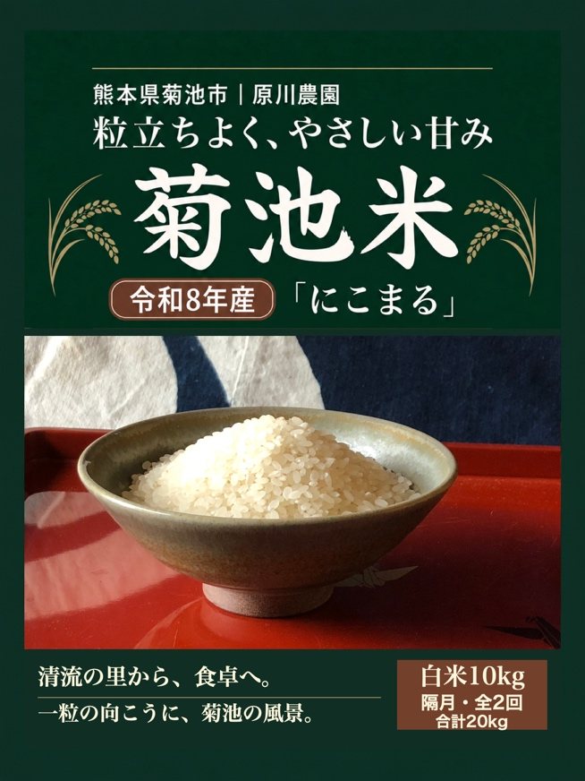 菊池米(白米)10kg 2回定期配送