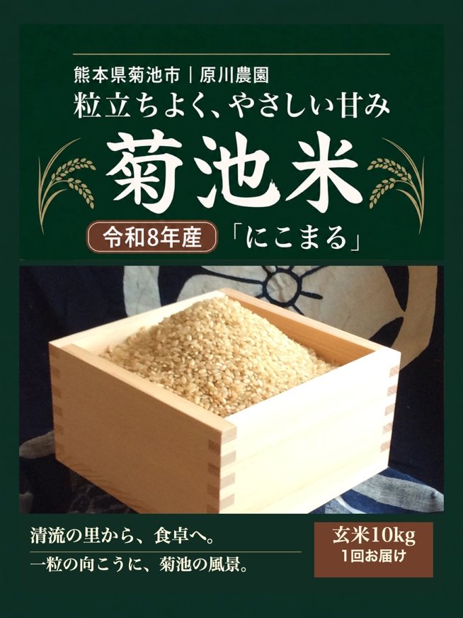 菊池米(玄米)10kg