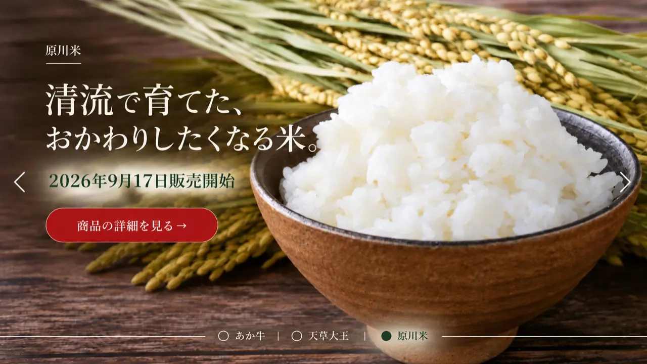 菊池米。清流で育てた、おかわりしたくなる米。2026年9月17日販売開始。